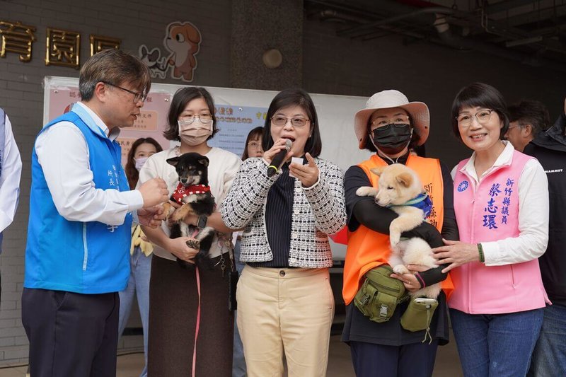 新竹縣動物保護防疫所日前從一處非法繁殖場救出多隻犬隻，12日開放認養13隻柴犬，逾200人到場抽籤，最終11隻柴犬順利出養，另2隻則因中籤者不符資格，將擇日再舉辦公開認養。（新竹縣政府提供）中央社記者郭宣彣傳真  114年3月12日