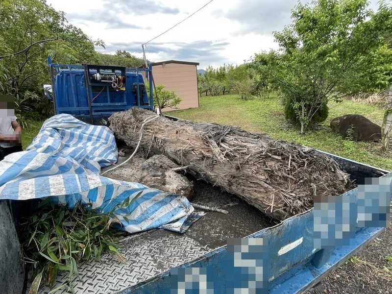王姓男子在蘭陽溪旁疑竊取珍貴漂流木,13日用小貨車載下山時,停在大同鄉偏僻空地後於車內熟睡,遭員警逮捕。警方經盤查發現,王男還是毒品通緝犯,全案依刑法竊盜及毒品危害防制條例將王男送辦。(警方提供)中央社記者沈如峰宜蘭傳真 114年3月14日