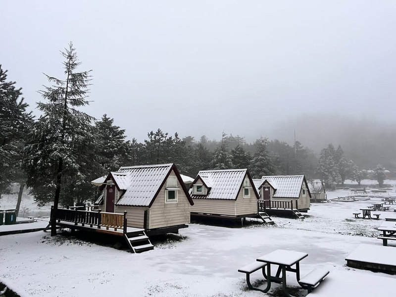 冷氣團來襲，福壽山農場露營區18日清晨降雪，樹木、小木屋覆蓋一層白雪，宛如童話世界。（福壽山農場提供）中央社記者趙麗妍傳真  114年3月18日