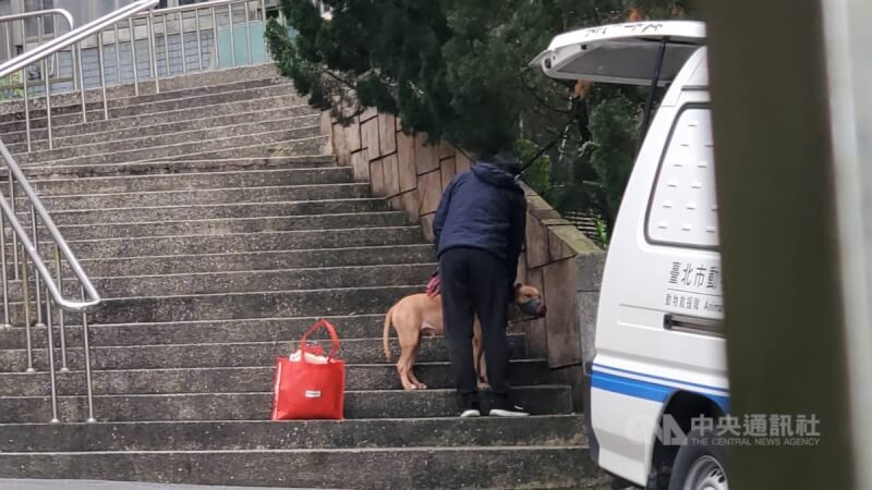 比特犬Lucky兩度跳車窗咬人，台北市動保處18日中午到飼主家執行沒入作業，飼主表示很不捨，但也認爲兩起事件都是意外發生坦言已無法管束，願配合動保處相關處理程序。（翻攝照片）中央社記者黃麗芸 114年3月18日