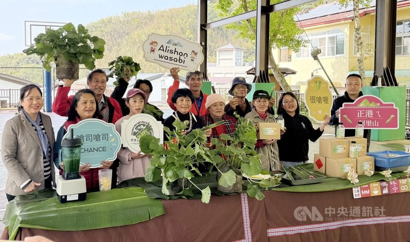 嘉義縣政府民國111年協助鄒族原住民在阿里山鄉樂野種植山葵，經2、3年努力已有初步成果，並研發各種山葵產品，原民期待山葵成為「綠金」，帶來經濟效益。中央社記者蔡智明攝  114年3月18日