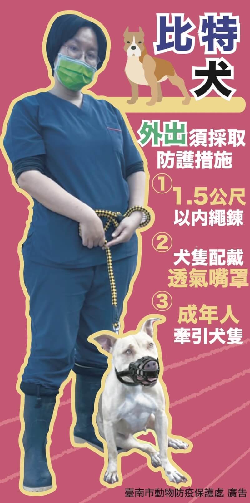 農業部表示，已禁止輸入、繁殖比特犬，在養犬隻須絕育，相關管制已足夠，重點是飼主帶狗出門是否落實繫繩等防護措施（圖取自農業入口知識網網頁kmweb.moa.gov.tw）