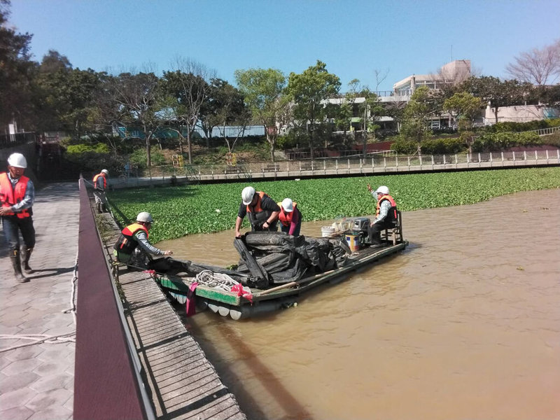 新竹市青草湖遊憩區每年都會有布袋蓮氾濫問題,當地居民憂心影響生態及景觀。竹市府19日表示,已派員前往清除,將儘快恢復青草湖自然美景,確保水域健康與生態穩定。(民眾提供)中央社記者魯鋼駿傳真 114年3月19日