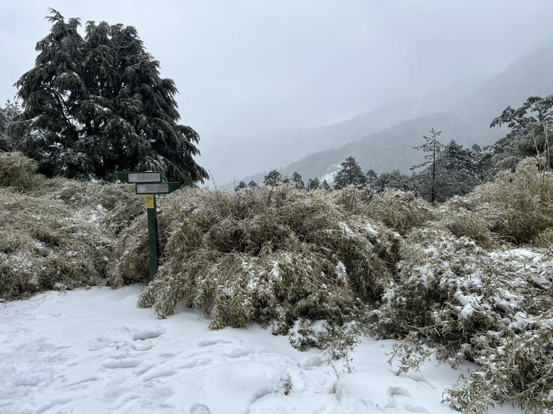 一行17人登山隊伍攀登奇萊東稜，其中李姓隊員倒臥山徑、沒有呼吸心跳，16名隊員因降雪躲在山屋避難。搜救隊人員挺進山區救援，19日因白雪覆蓋路徑，全隊後撤回到黑水塘山屋，等待天氣好轉。（花蓮縣消防局提供）中央社記者張祈傳真 114年3月19日