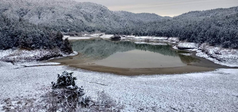 受強烈大陸冷氣團或寒流影響,海拔約1900公尺的太平山國家森林遊樂區19日持續下冰霰,遊樂區內的翠峰湖區一片雪白,美不勝收。(農業部林業及自然保育署宜蘭分署提供)中央社記者沈如峰宜蘭縣傳真 114年3月19日