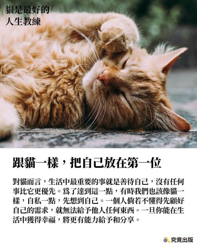 法國亞馬遜書店暢銷書「貓是最好的人生教練」繁體中文新版近日推出,作者史蒂芬嘉涅(Stéphane Garnier)指出,貓忠於天性,懂得慢活、保持好奇心,不刻意討好他人,並享受獨處時光,邀請讀者向充滿自信的貓學習,活出自在人生。 (究竟出版提供)中央社記者葉冠吟傳真 114年3月19日
