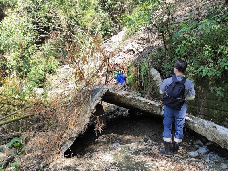 高雄美濃區月光山步道受風災影響,路面毀損、擋土牆傾斜及部分路基流失,且此區域為順向坡潛勢區及土石流潛勢溪流集水區坡面的一部分,並有持續地滑現象,經各界現勘討論評估,將依「林業及自然保育署自然步道設置及管理要點」廢止步道。(林業及自然保育署屏東分署提供)中央社記者張已亷傳真 114年3月24日