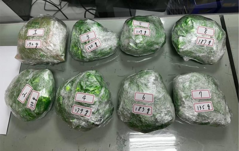某海運公司賴姓船員與蔡姓、劉姓前船員,3人1月間從泰國走私市價近新台幣600萬元第2級毒品大麻入境台灣,遭橋頭地檢署專案小組查獲,訊後向法院聲押3人獲准,偵結後依違反毒品危害防制條例起訴。(橋頭地檢署提供)中央社記者張已亷傳真 114年3月24日