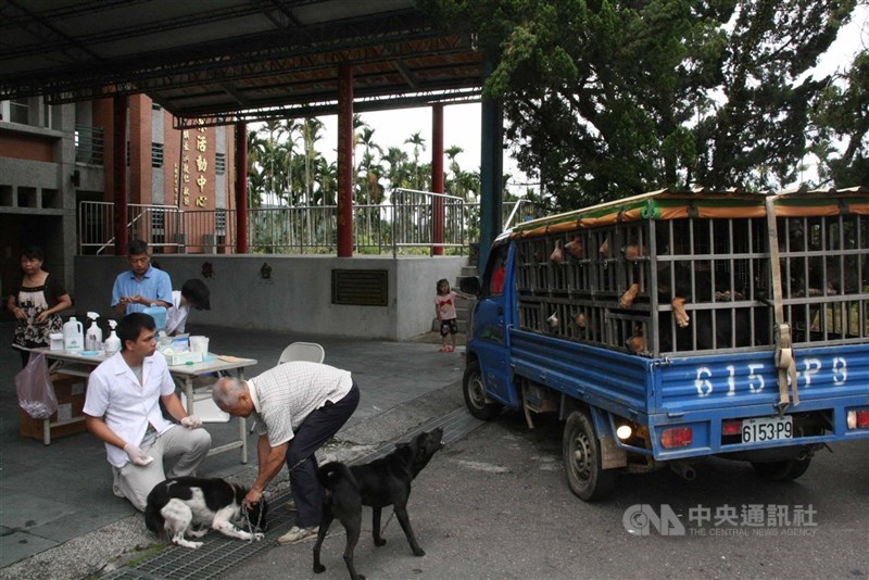 民國102年起定期發布動物染狂犬病監測資訊,台灣本島剩 新竹、宜蘭以北無案例。防檢署說,仍以山區鼬獾確診為主 ,但曾有1幼犬發病安樂死,呼籲山區飼主帶犬貓打疫苗。 (中央社檔案照片)