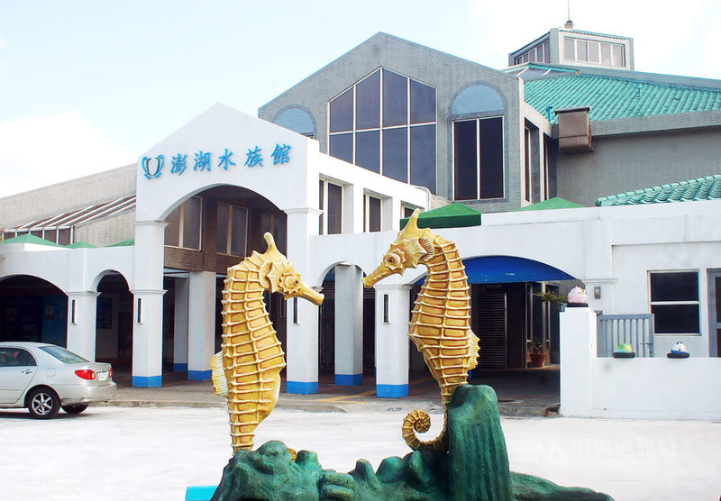 澎湖水族館配合清明連假推出神秘「海龍宮」活動作為重新開幕6週年的獻禮，4日湧入逾1000人前往朝聖祈福，尋找屬於自己的守護海神。中央社  114年4月5日