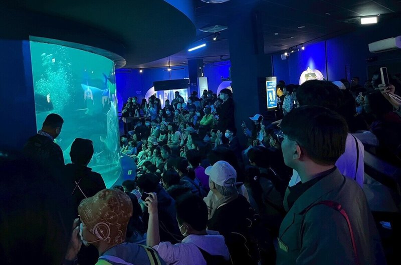 澎湖水族館喜迎開館6週年,特別搭配2025年澎湖國際海上花火節期間推出「與魚兒共眠」活動方案,邀請大小朋友到澎湖水族館感受獨特夢幻體驗。(澎湖水族館提供)中央社 114年4月5日