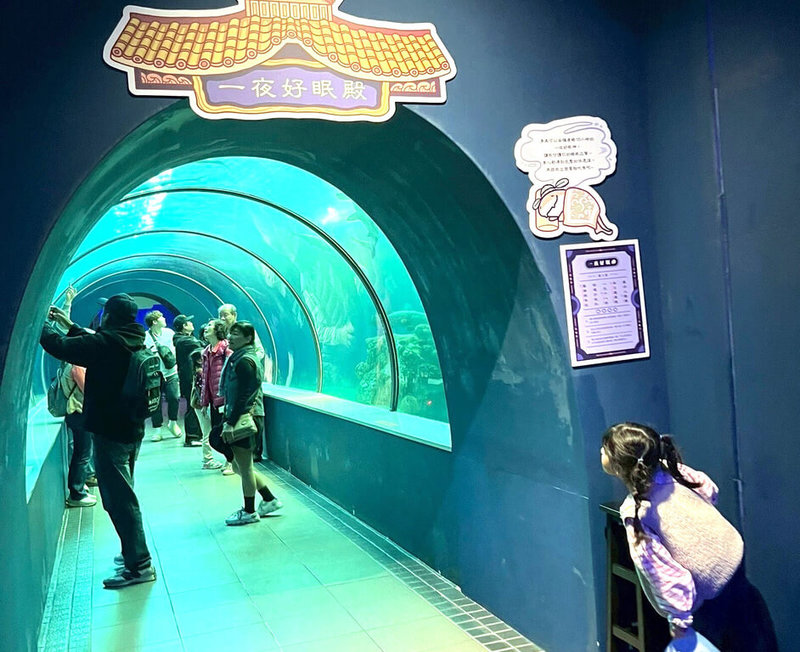 澎湖水族館配合清明連假推出「海龍宮」闖關活動,結合廟宇解籤元素與海洋知識,寓教於樂,4日湧入逾1000人前往朝聖祈福,尋找屬於自己的守護海神。(澎湖水族館提供)中央社 114年4月5日