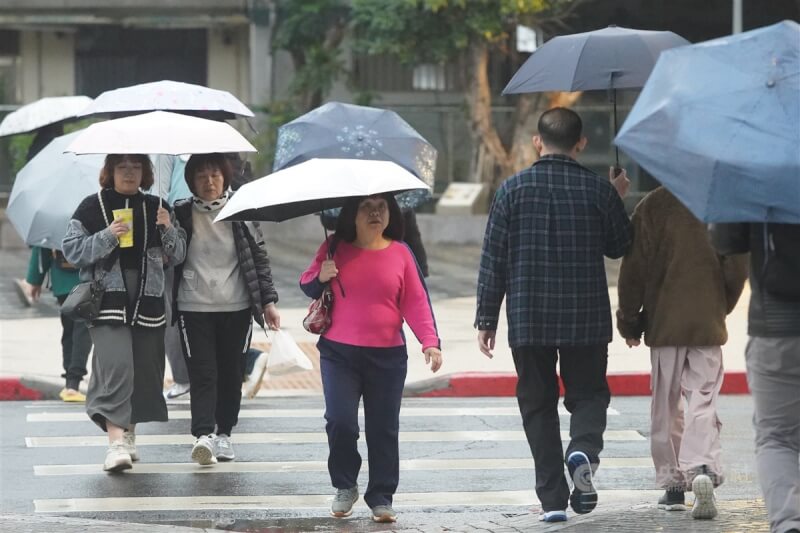台北市北投區外出民眾午後冒雨外出,在街頭開出一朵朵傘花。(中央社檔案照片)