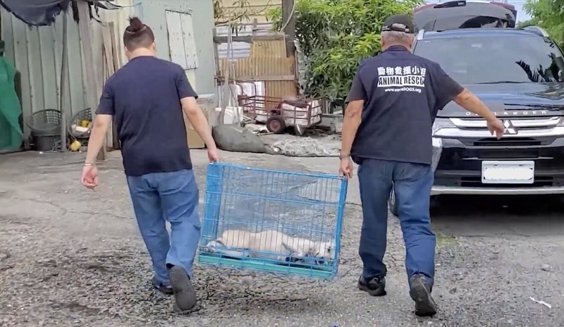苗栗某國小職員傳訊給台灣動物緊急救援小組請求幫忙繳納經濟弱勢生學費遭婉拒,該職員竟回信質疑「人不如畜生」並嗆「冷血」,讓第一線志工們感到非常難過又無奈。(台灣動物緊急救援小組提供)中央社記者管瑞平傳真 114年4月9日