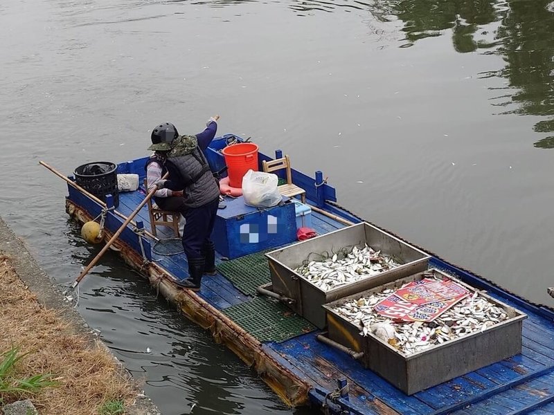 高雄市愛河沿線13日被民眾發現漂浮大量死魚,經高雄市政府環保局檢測,確認沒有異常排放狀況,檢測結果與平常狀況無異,研判為氣溫驟降導致魚群死亡,已派員清除重量約600公斤魚屍,14日將再加強巡檢河面。(高雄市政府環保局提供)中央社記者張已亷傳真 114年4月14日