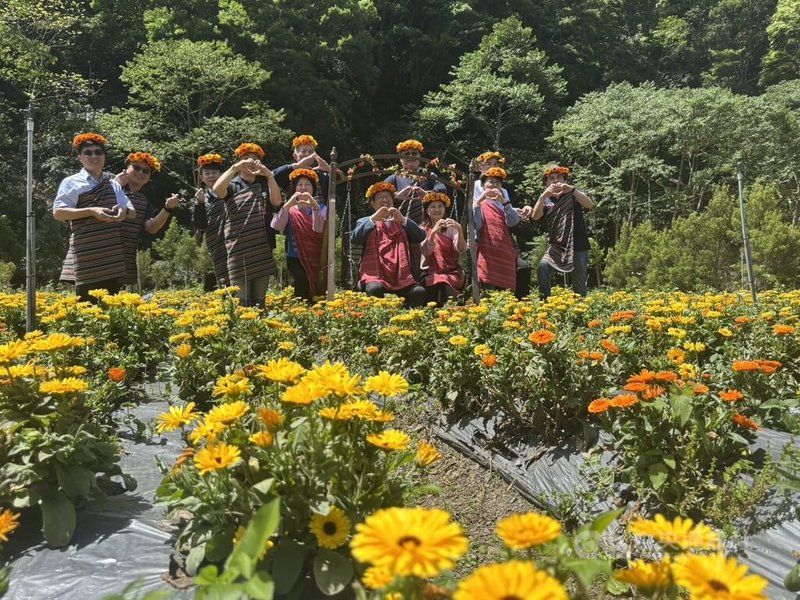 新竹縣政府與新竹縣農會16日在尖石鄉那羅灣休閒農業區舉辦「新竹食農好好玩」記者會,那羅灣休閒農業區正值金盞花盛開期,金橘色的金盞花如花毯般,十分美麗。中央社記者郭宣彣攝 114年4月16日