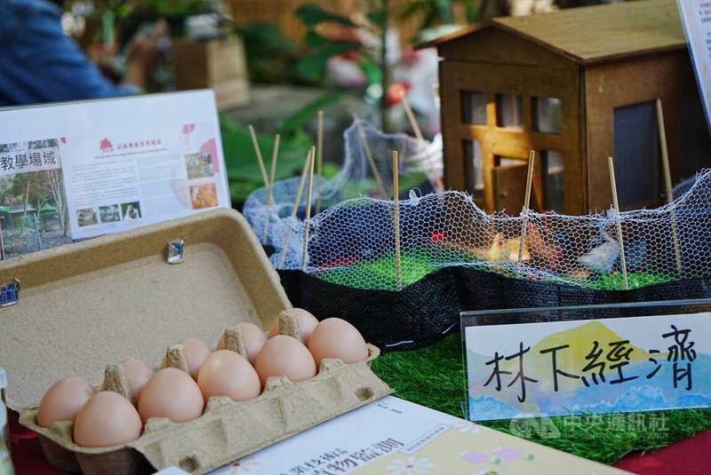 屏東縣牡丹鄉在109年起推動地方創生計畫,發展林下經濟特色產業,開創「山林畜牧養殖」、「林下香菇栽培」以及「林下養蜂產蜜」等3大農業項目,牡丹山林雞為特色之一。中央社記者黃郁菁攝 114年4月16日