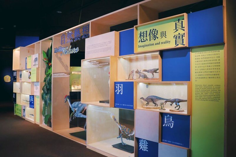 國立自然科學博物館與國立台灣大學生命科學院動物博物館聯合策劃「自然藝想」特展,16日起在科博館展出逾40件栩栩如生的生物標本及模型。(科博館提供)中央社記者郝雪卿傳真 114年4月16日