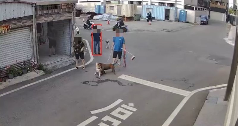 屏東縣內埔鄉日前發生一起比特犬攻擊柴犬事件,當下柴犬飼主緊張呼救,附近鄰居拿出掃把、鐵條幫忙解救,但最終柴犬仍傷重不治。(民眾提供)