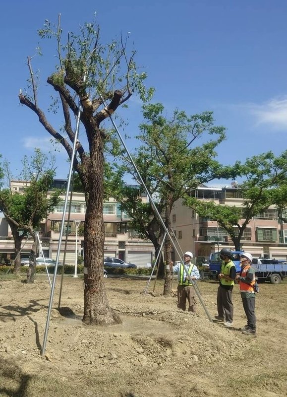 高雄捷運黃線施工,有民團16日指控行道樹被大量移除,高雄市政府捷運工程局表示,作業皆依高雄市樹木修剪相關規定程序辦理。(高雄市捷運局提供)中央社記者蔡孟妤傳真 114年4月16日