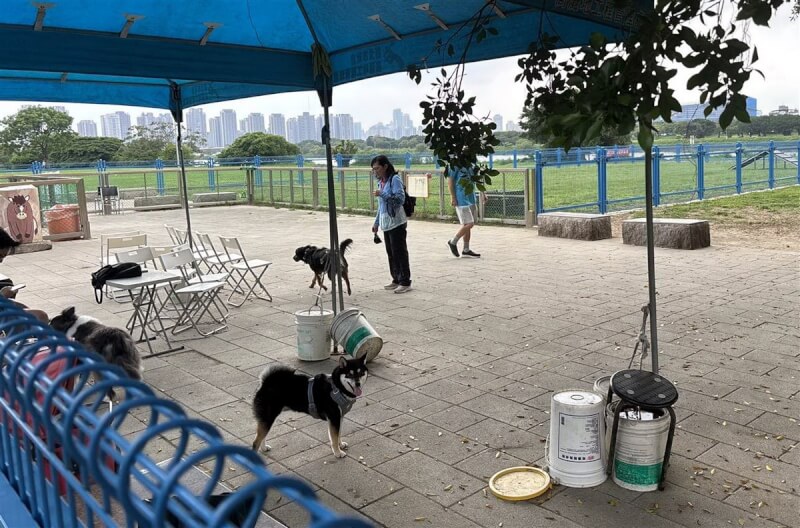 新北市動保處19日提醒,飼主若攜帶寵物出入公共場所,應依體型及種類使用鏈繩、箱籠或其他適當防護,以管控寵物行動,否則可處罰鍰。圖為飼主帶著寵物犬前往永和綠寶石寵物公園活動。(新北市動保處提供)中央社記者黃旭昇新北市傳真 114年4月19日
