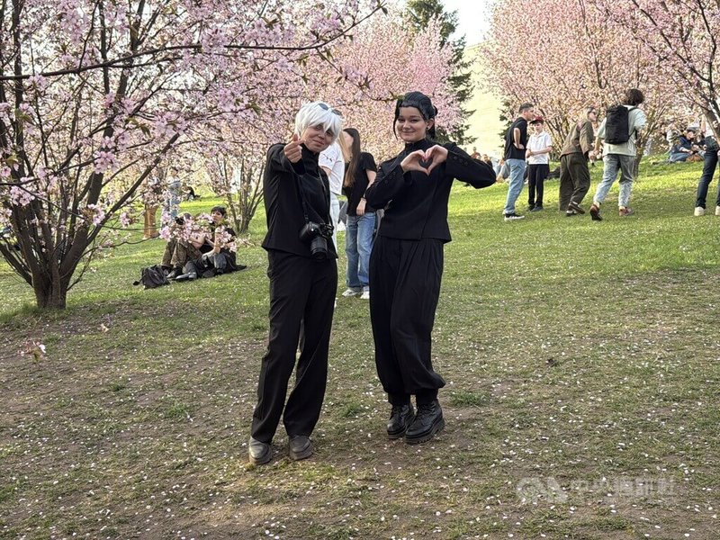 近年日本動漫文化在立陶宛越來越受到歡迎,櫻花祭吸引許多角色扮演愛好者前來取景。中央社記者游堯茹維爾紐斯攝 114年4月20日