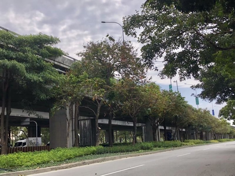 台中市政府推動高架道路下方空間綠化,其中位於台74線高架道路多數路段下方空間已完成綠化。市府22日呼籲企業共同參與綠化行動,盼擴大公私合作,提升城市綠覆率與永續發展力。(台中市政府提供)中央社記者郝雪卿傳真 114年4月22日