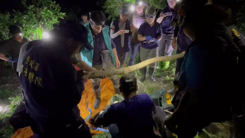 一隻台灣黑熊近日頻繁出沒花蓮縣卓溪部落,巡守人員21日晚間目擊黑熊再度襲擊犬隻且作勢攻擊人,巡守人員開槍打中黑熊,玉山國家公園管理處立即委請相關團隊到場搶救,但最終黑熊仍傷重不治。(玉山國家公園管理處提供)中央社記者蕭博陽南投縣傳真 114年4月22日