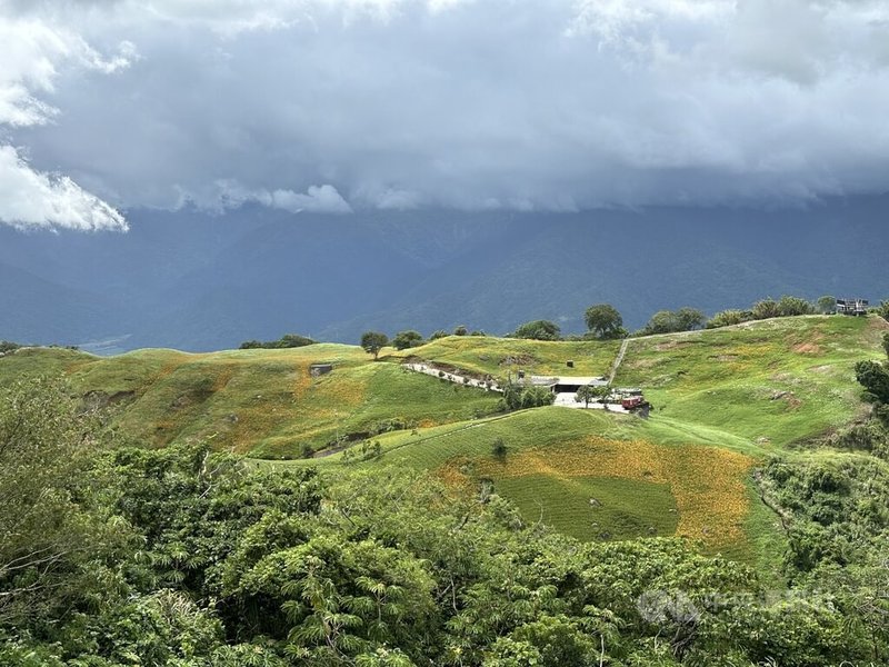 花蓮富里鄉六十石山地區為花東縱谷金針栽植區之一,擁有豐富的農業資源,每年夏天若無颱風帶來雨量,總為缺水所苦,農田水利署規畫新建集水設施與配水池,盼能達成「蓄豐濟枯」,解決缺水難題。中央社記者李先鳳攝 114年4月23日