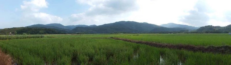 農業部生物多樣性研究所近期在國際期刊「地景生態學」(Landscape Ecology)發布的研究顯示,地景組成異質度愈高的環境,愈能吸引較多種鳥類棲息,圖示有森林及農地的田寮洋環境,鳥類就很豐富。(生多所提供)中央社記者楊淑閔傳真 114年4月23日