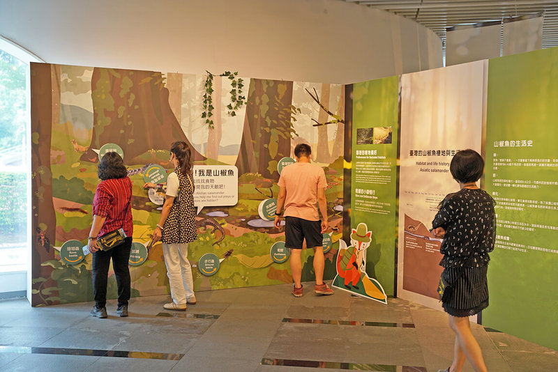 國立公共資訊圖書館舉辦「走進雲霧森林—探索山椒魚特展」,展出最新研究成果等,呈現山椒魚的生態特性、適應機制及保育挑戰。(國立公共資訊圖書館提供)中央社記者趙麗妍傳真 114年4月24日
