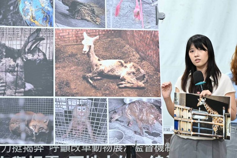 鳥語獸躍召集人林婷憶(圖)調查六福村禽鳥後場被控妨害秘密遭判刑,台灣動物平權促進會等多個動物保護團體24日聲援,憂心有寒蟬效應。(鳥語獸躍提供)中央社記者楊淑閔傳真 114年4月24日
