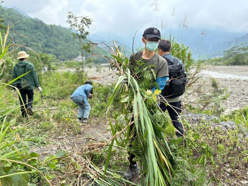 高雄市楠梓仙溪下游沿岸已發現外來種植物入侵跡象,農業局26日舉辦移除活動,共移除達2000公斤外來入侵植物。(高雄市農業局提供)中央社記者蔡孟妤傳真 114年4月26日