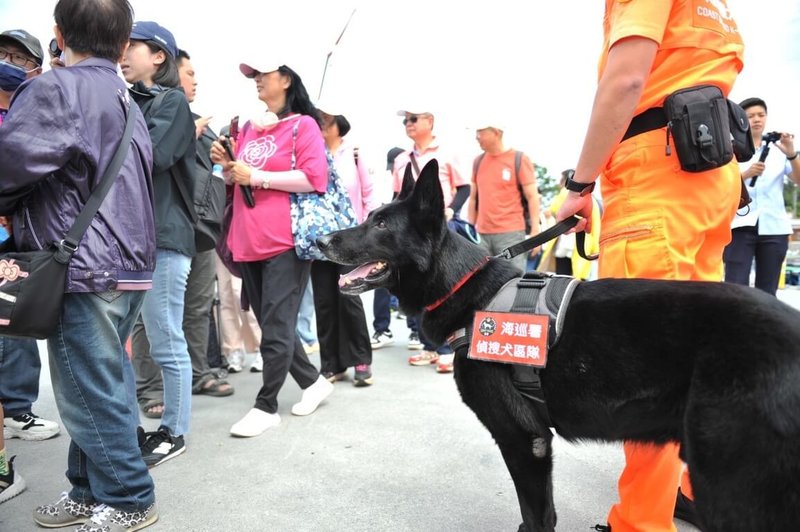 海巡署東部分署偵搜犬「鐵諾」退役,26日由海巡署人員陪同「鐵諾」前往台東富岡港展開最後巡禮。(海巡署東部分署提供)中央社記者盧太城台東傳真 1114年4月26日