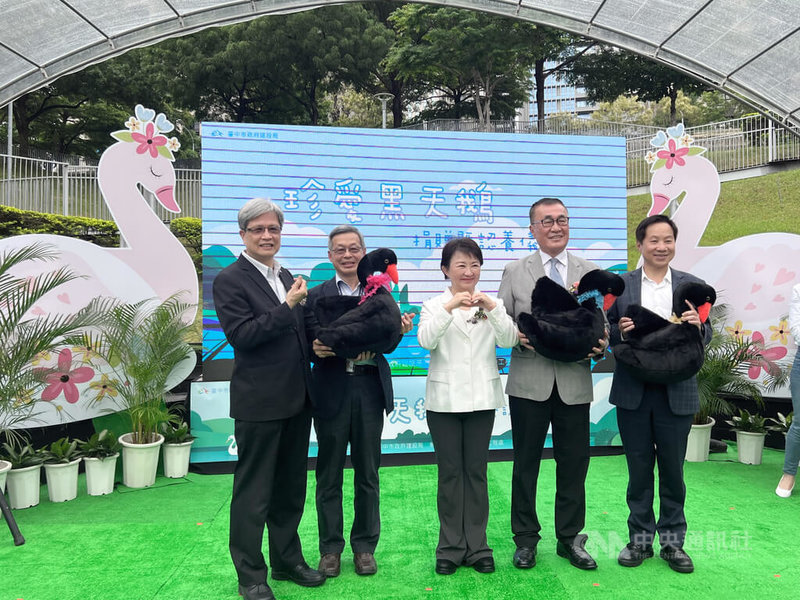台中秋紅谷景觀生態公園黑天鵝家族從第1代4隻繁衍擴增到如今第3代的15隻,市府28日下午舉行贈養儀式,由市長盧秀燕(中)代表分別贈給台北市政府、東海大學及台北大學。中央社記者郝雪卿攝 114年4月28日