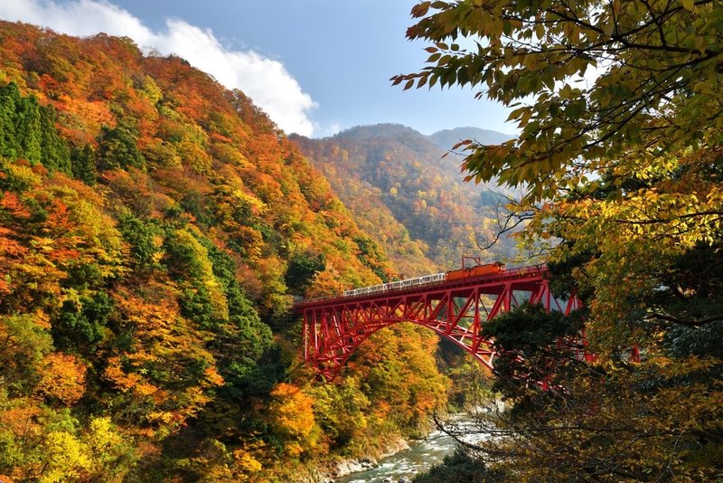 阿里山林鐵與日本黑部峽谷鐵道(黑鐵)5月3日起推出互惠專案,台灣旅客憑阿里山林業鐵路遊樂區內支線周遊2日券及護照,即可免費兌換黑鐵車票。圖為黑部峽谷鐵道美景。(林鐵及文資處提供)中央社記者蔡智明傳真 114年4月28日