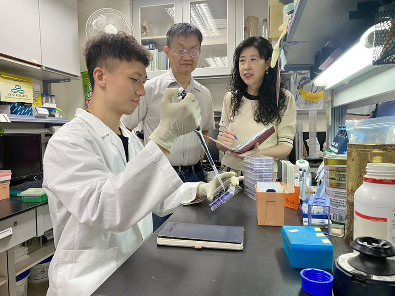 國立成功大學團隊成功解析人體免疫反應重要角色T細胞去泛素酶USP24,且開發出小分子USP24抑制劑,可殺死癌細胞。(成功大學提供)中央社記者張榮祥台南傳真 114年4月30日