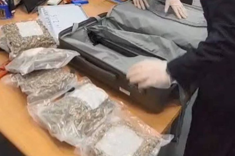 港籍旅客張姓男子日前透過網路媒介帶貨來台賺佣金,遭航空警察局及關務署台北關於託運行李內查扣第二級毒品大麻花3.209公斤。(航空警察局提供)中央社記者吳睿騏桃園機場傳真 114年4月30日