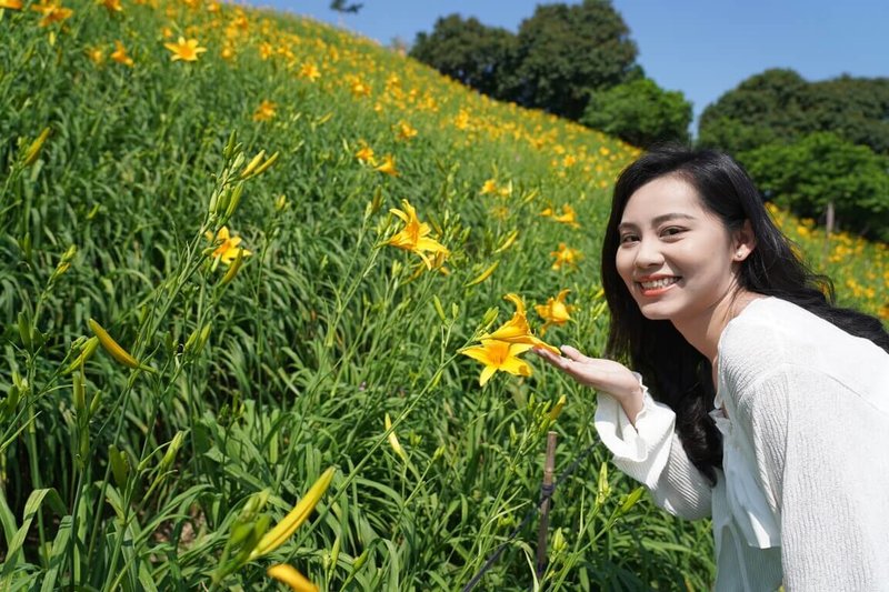 彰化縣花壇虎山巖金針花海每年吸引大量遊客到訪,交通部觀光署參山國家風景區管理處與虎山巖管理委員會2日宣布花季開幕,將持續至7月。(參山國家風景區管理處提供)中央社記者蕭博陽彰化縣傳真 114年5月2日