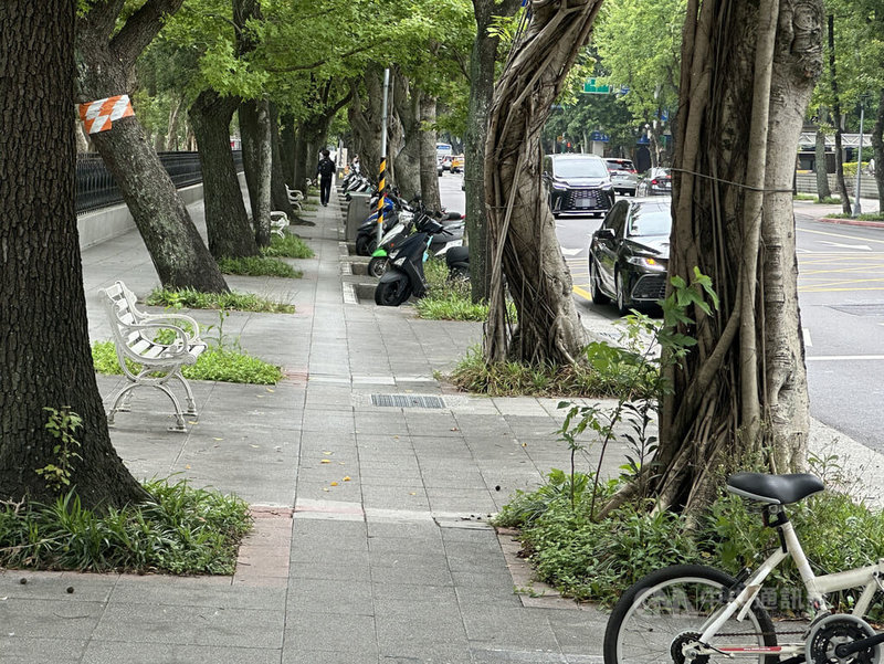 台北市政府為推動改善行人環境,更新修繕人行道,議員指出,全市待施作人行道總面積有30萬餘平方公尺,卻未依比例分配修繕,使得各行政區修繕人行道進度產生差距。市府工務局新建工程處3日表示,必要時會跨區協助施作。中央社記者劉建邦攝 114年5月3日
