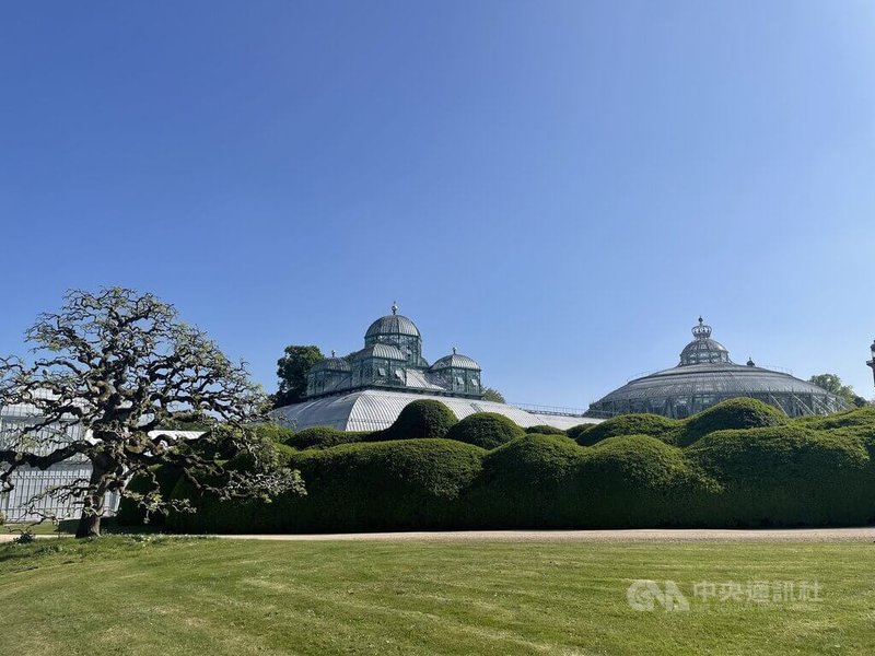 比利時皇家領地面積逾56萬坪、只比南法國家摩納哥略小,內有屬皇室財產的拉肯溫室(圖),以及國王所住、屬國有財產的拉肯皇宮。中央社記者田習如布魯塞爾攝 114年5月4日