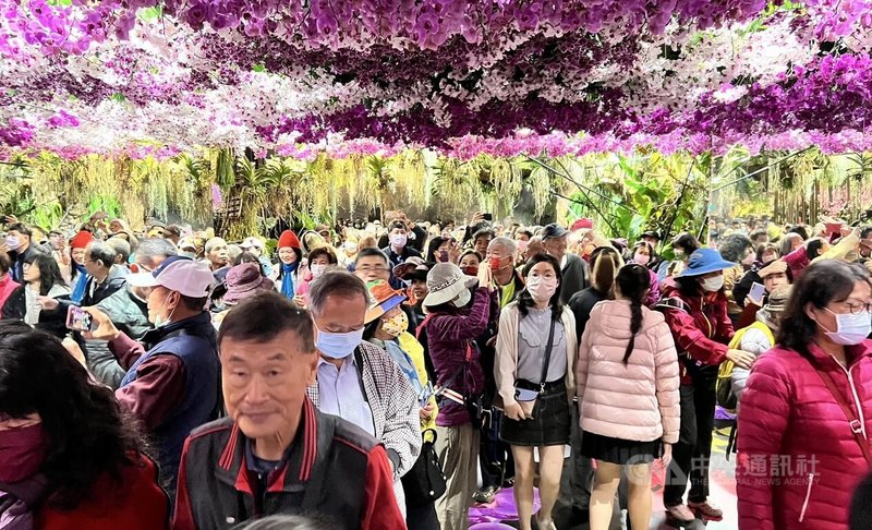 台灣國際蘭展規模逐年擴大,每年展期都吸引大批民眾前往賞花。中央社記者張榮祥台南攝 114年5月4日