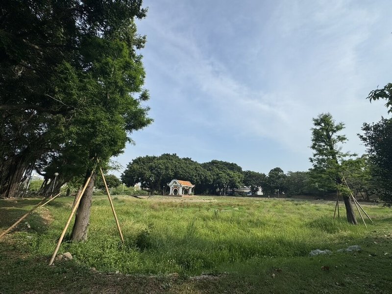 東海大學指出,東海湖現正進行全面改造,未來將結合落羽松與玫瑰園,打造全台最美天鵝湖,預計9月讓黑天鵝入住湖中小教堂。(東海大學提供)中央社記者趙麗妍傳真 114年5月6日