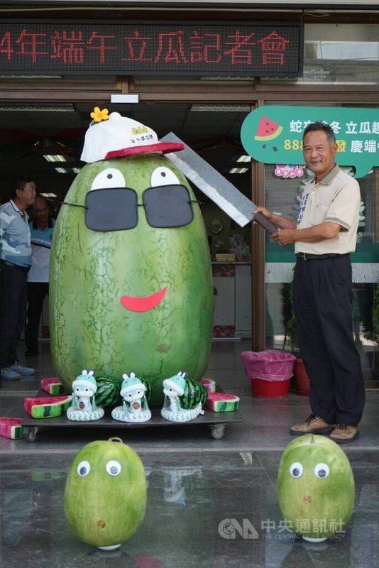 屏東縣佳冬鄉公所舉辦端午立西瓜活動,2025年特製一把假西瓜刀,讓民眾可以互動拍照,佳冬鄉長賴文一(右)示範趣味擺拍。中央社記者黃郁菁攝 114年5月9日