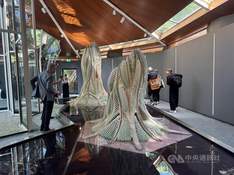 在2025年「威尼斯建築雙年展」中,加拿大館以「微浮生態學」為題,結合生物科技、材料科學與建築設計,展出以藍綠菌為材料,透過3D列印的大型活體裝置。中央社記者劉鬱葶威尼斯攝 114年5月12日