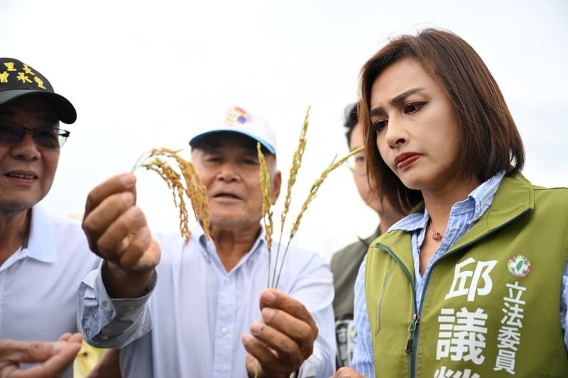 高雄稻米因溫差劇烈,導致稻穗空包、倒伏等情形頻傳,民進黨立委邱議瑩(右)12日邀相關單位前往會勘。(邱議瑩辦公室提供)中央社記者蔡孟妤傳真 114年5月12日