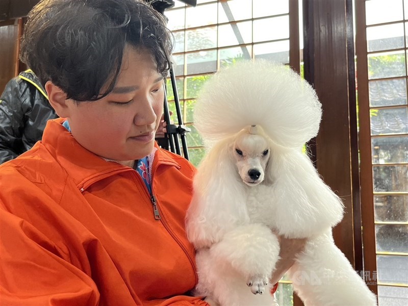 行政院消費者保護處12日發布新聞稿表示,通過「犬、貓美容服務定型化契約」規範,後續將由農業部辦理宣導及查核,督促企業經營者遵守規範。(中央社檔案照片)
