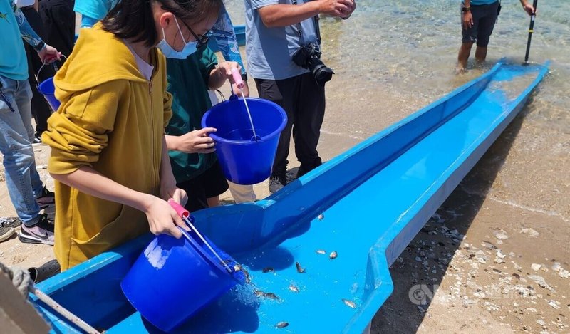 台電公司與澎湖縣政府響應國際生物多樣性日(5月22日),13日聯手在龍門等海域放流魚苗與蝦螺等,以實際行動守護海洋生態。中央社 114年5月13日