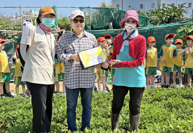 澎湖湖西鄉長陳振中（中）親自到場與小朋友們一起採收，對轄區蔡姓菜農主動協助提供自家菜園，供小朋友實地體驗，讓小朋友能從小了解食材，從土地到餐桌的食農教育，表達感謝與肯定，特別致贈感謝狀。（澎湖湖西鄉公所提供）  中央社    114年5月14日