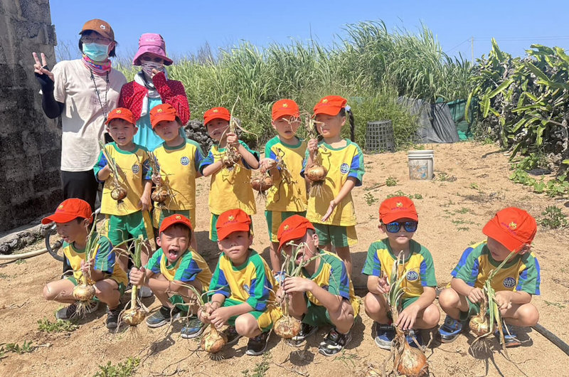 澎湖湖西鄉立幼兒園的小朋友，14日變成小農民下田採收高麗菜與洋蔥，實地體驗菜農耕作的辛苦，感受田園的樂趣，每位小朋友收獲滿滿地合影留念。（澎湖湖西鄉公所提供）  中央社    114年5月14日